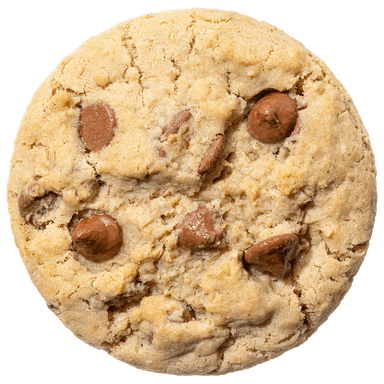 Oatmeal Chocolate Chip
