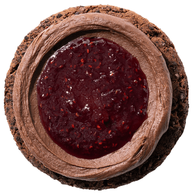 Chocolate Raspberry Truffle