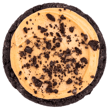 Chocolate Pumpkin Cheesecake